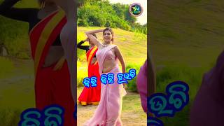 Kichhi kichhi hauchi shorts | Kichhi kichhi hauchi album song | Cookies swain joydev roul album