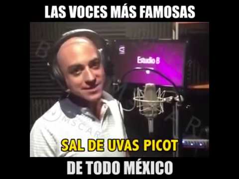 Las Voces Mas Famosas de Todo Mexico!!