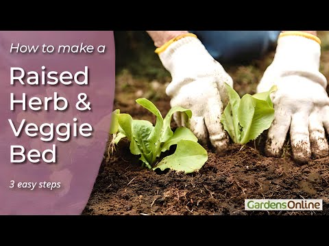 Making a Raised Herb and Vegetable Garden