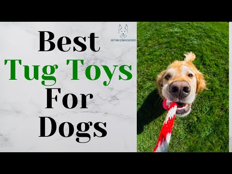 Best Tug Toys For Dogs