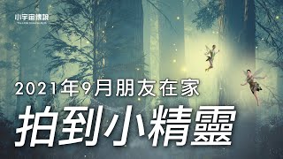 【小精靈的故事】監視器拍到未知生物！你或許不信，但冰島人都相信有神秘精靈的存在！| 小宇宙傳説