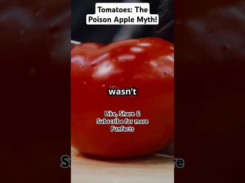 Tomatoes: The Poison Apple Myth! #superfood #facts #nutritionfacts #fitness #healthyliving