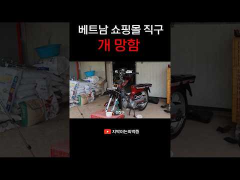 국산이 최고다.. #오토바이