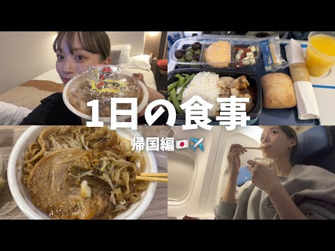 【1日の食事】帰国した日の食事🍚初のKLM航空の機内食✈️