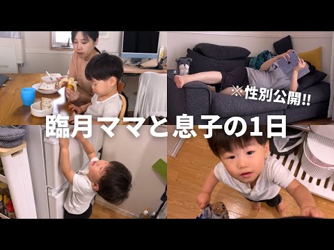 出産間近！息子と過ごす1日ルーティン【性別公開👶】【保育園】【妊婦健診】