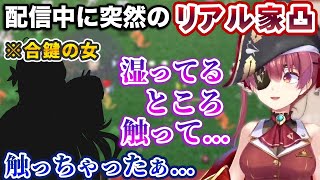 配信中に突然合鍵を使って侵入してきた某ホロメンに、自分の湿っている箇所を触らせたりパンツを覗き込まれたりする宝鐘マリン【ホロライブ切り抜き】