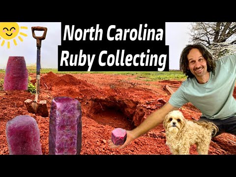 Ruby & Sapphire Discovery in a North Carolina BACKYARD 🤯