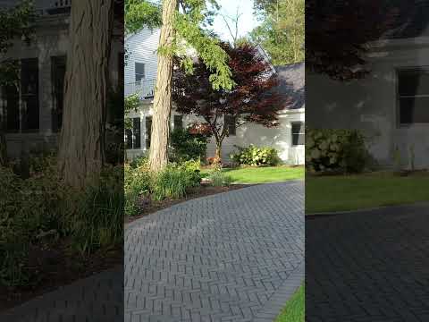 Inviting front entry with dark-toned Town Hall pavers adds visual contrast to surrounding greenery.