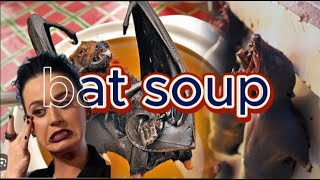 strange bat soup