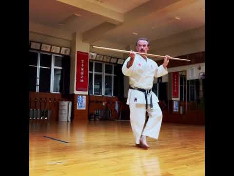 “Sakugawa gwa” (Sho) practice 佐久川ヌ棍グァ研究中 #信武舘 #古武道 #karate #shimbukan #okinawa #空手 #kobudo #沖縄