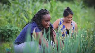 UVM's Connecting Cultures Program Serves Refugees in Vermont