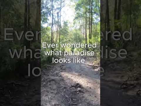 Scenic Hike #exploreaustralia #naturelovers #naturewalk #outdooradventure #scenichike #scenicwalk