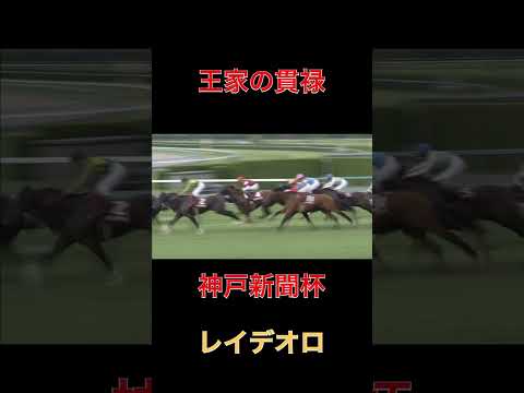 王家の貫禄レイデオロ【神戸新聞杯】#レイデオロ#神戸新聞杯