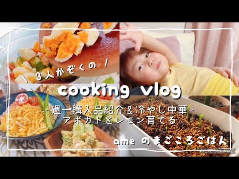 【vlog】歯科衛生士が作るおうちごはん【日常vlog/社会人vlog/冷やし中華/観葉植物/cooking】