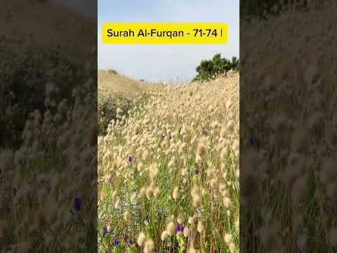 Surah Al-Furqan - 71-74 | #quran #recitation ##muslim