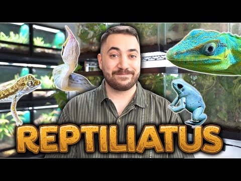 GETTING REAL WITH REPTILIATUS + ANIMALCON USA 2023