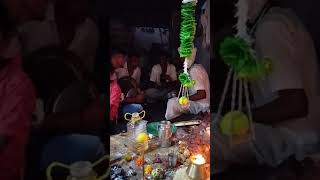 Banjara Dasara Veralu Geed