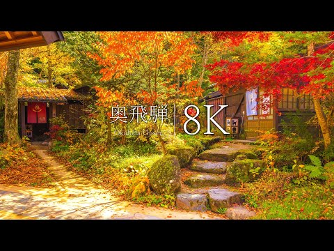 [Okuhida Onsenkyo] 10 Spectacular Views of Gifu to Visit in Autumn - Gifu, JAPAN in 8K