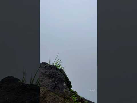 Dangerous place 🫣 Seating in clouds 🌧️ #youtubeshorts #shorts #vlog #travel #monsoon #trek #travel