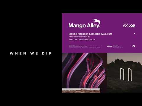 Premiere: Bachir Salloum, NOIYSE PROJECT - Vivid Imagination (Tantum Remix) [Mango Alley]