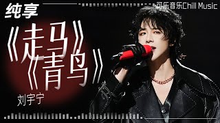 #LiuYuning sings his hit song "Zou Ma" after 6 years partnering #mayavi chorus of "Green Bird"#music