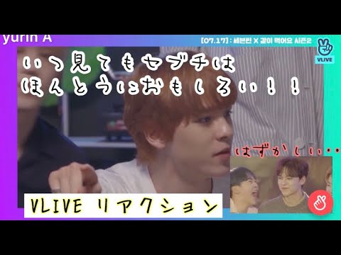 [セブチ] VLIVEを振り返ってリアクション！