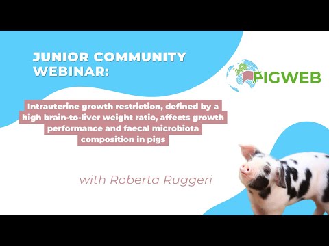 PIGWEB Junior Community Webinar series: Intrauterine growth restriction