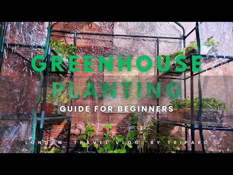 How to make a small Greenhouse for plants in UK