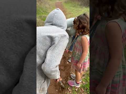 Nate and Nessa going on a mini hike #kids #kidsshorts #family