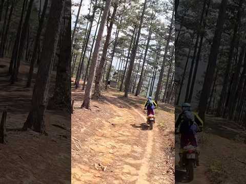 Great fun offroad ride central Vietnam! Central Vietnam Motorbike Tour Expert