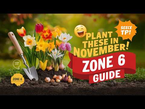 Top Flowers to Plant in November for a Stunning Zone 6 Garden