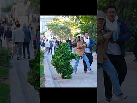 Gente se Asustan con Bushman Prank !! #prank #bushman #funny