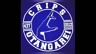 WE DO IT ALL NIGHT “437 CRIPS”