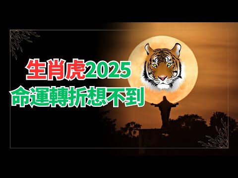 生肖虎，2025年運勢想不到！你居然有如此驚人的變化！命運轉折點出乎意料！ #2024年生肖虎運程 #2024生肖虎運勢 #2024属虎运势 #2024属虎运程