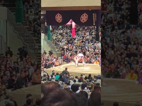 The BEST Sumo Match of the Tournament 😯 #japan #sumo