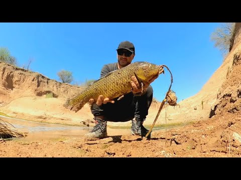 2 días de PESCA y COCINA, Aventura Extrema en Cascadas ocultas. CARPA FRITA. PESCA URBANA.