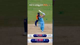 wait for jadeja catch 😍😍🏏😈 #cricketshorts #ravindrajadeja #cricket #cricketlover #shorts #indvseng