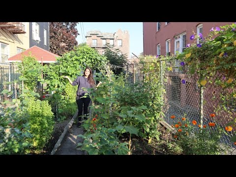 September Garden Tour | Queens, New York City | 2024