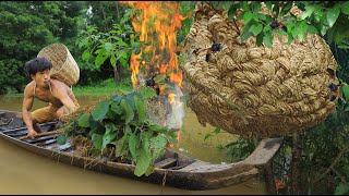 life in jungle - Eating cucumber meet wasp nest