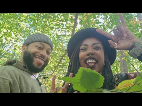 Zooted Wizard Vlogs: Nature Walks and Gnomes