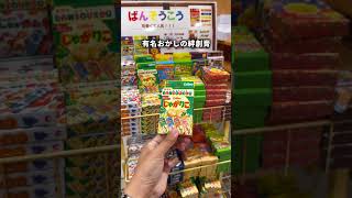 【日本一】駄菓子のテーマパークが凄すぎる