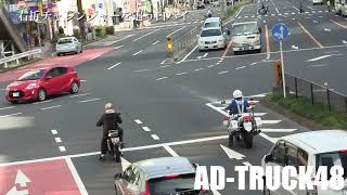 【白バイの取締】青山通りから渋谷駅前を流す白バイに捕獲される右折チャレンジャー！運が悪いと捕まりますが注目度抜群です。