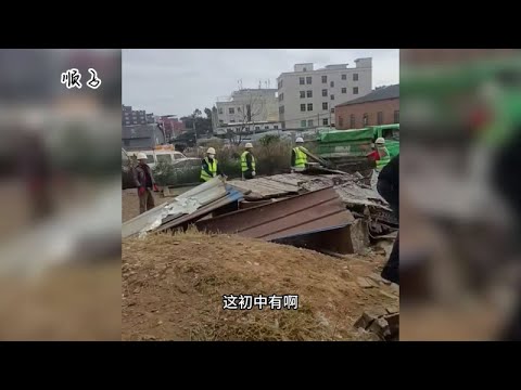 农村大姐利用空地养家禽被“航拍”，“农管”不让养，都捕捉走了