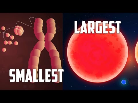 Size of the universe | Smallest to the Largest