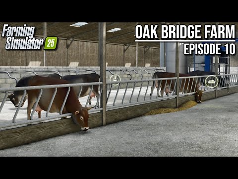 100 Cows Delivered! Time to Feed Them! | Farming Simulator 25