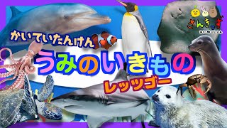 【海の生き物アニメ】水族館に行こう！暗闇にいるお魚さんや生き物を見つけて名前を覚えよう◎サメ イルカ など  実写の うみのいきもの大集合！！【子供向け知育アニメ】