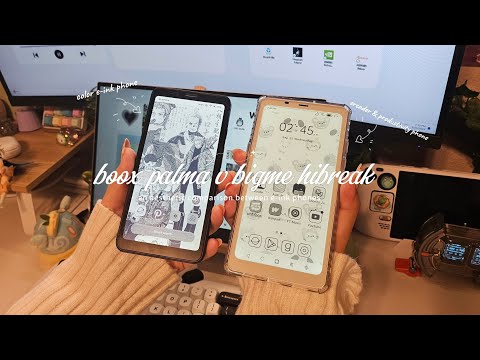 🧸boox palma vs bigme hibreak | an aesthetic comparison between e-ink phones