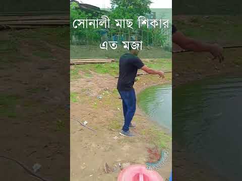 সোনালী কার্প মাছ শিকার । Hook Fishing | Ep:69 | #hook_fishing #fishingshorts #carpfishing