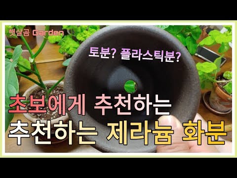 제라늄 초보분들에게 추천하는 화분은?ㅣWhat kinds of pot do you recommend for beginners?