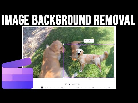 How to Remove the Background of a Photo in Clipchamp to Make it Transparent